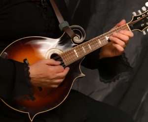 Verlene's Instruments - mandolin