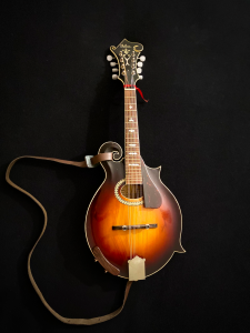 Verlene's Instruments - mandolin