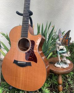Photo of Garden Guitar with Fairy