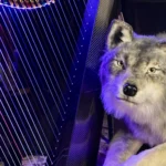 Lynda's Harp from Gaelic Muses