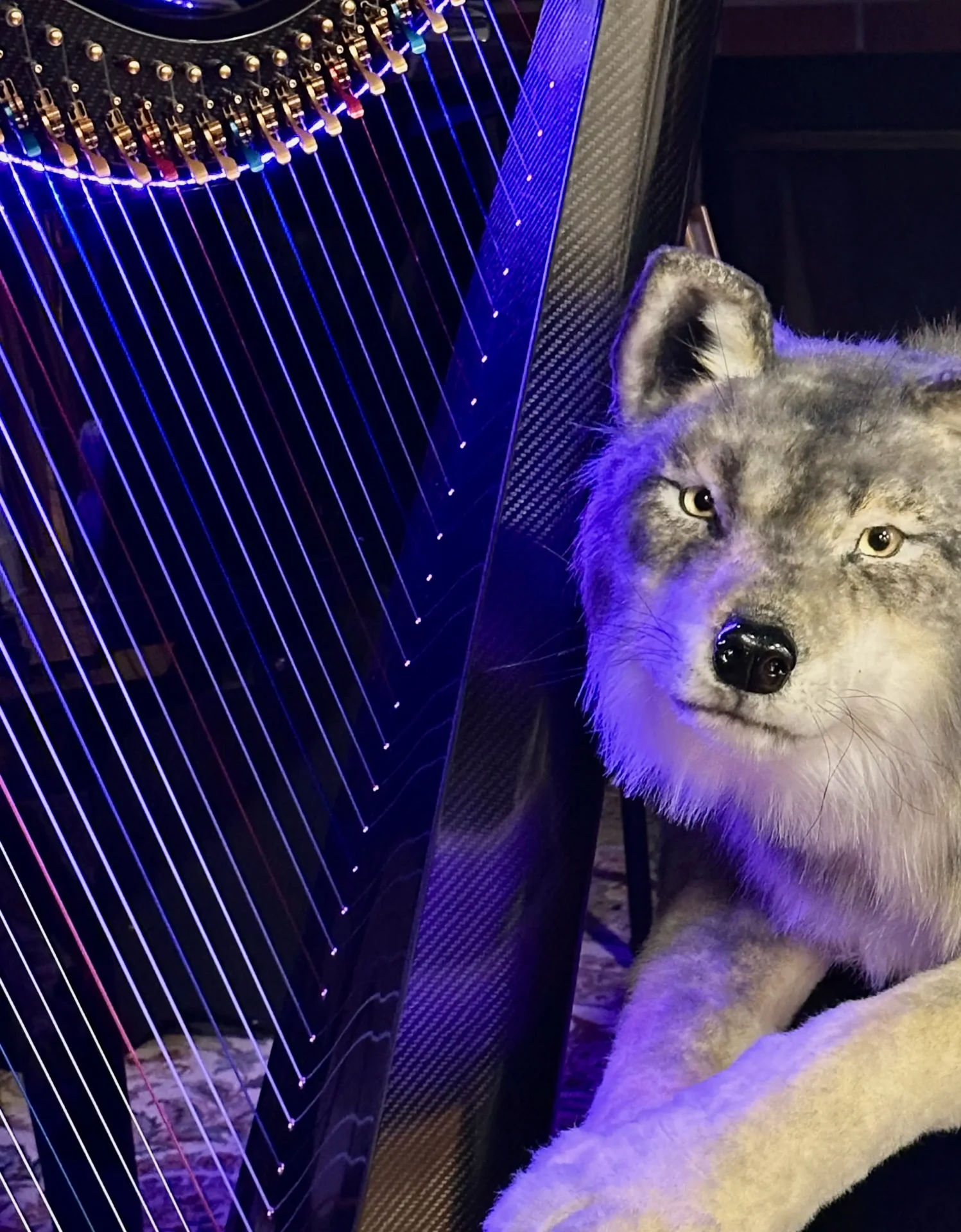 Lynda's Harp from Gaelic Muses